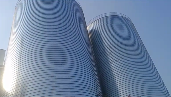 盐山2座混凝土高架卷板仓